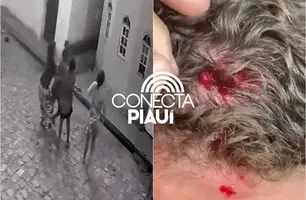 Mulher é presa após ferir vizinha com pedrada e agredir policiais em Bocaina (Foto: Reprodução)