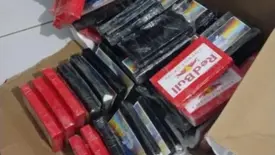 Ônibus é interceptado no Sul do Piauí com 45 kg de droga avaliados em R$ 2 milhões (Foto: Reprodução)