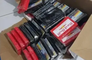 Ônibus é interceptado no Sul do Piauí com 45 kg de droga avaliados em R$ 2 milhões (Foto: Reprodução)