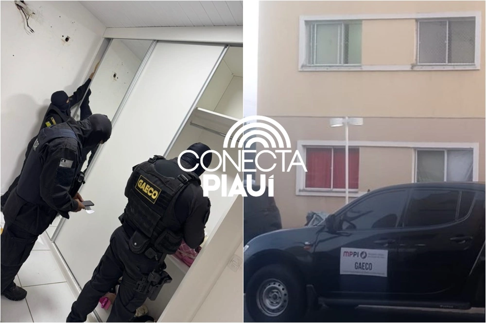 Operação combate organização criminosa que atuava como 'atacadista' de drogas