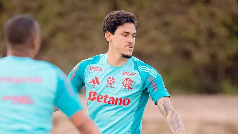 Pedro, Atacante do Flamengo
