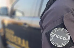 PF deflagra operação contra comércio ilegal de armas e munições em Parnaíba (Foto: Reprodução)