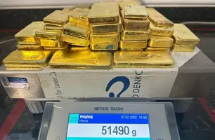 PF intercepta avião e apreende 54 barras de ouro em Roraima (Foto: Reprodução)