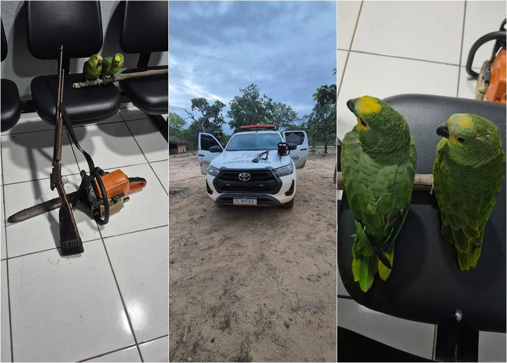 Piauí aperta o cerco e mostra que crime ambiental tem endereço certo