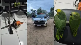 Piauí aperta o cerco e mostra que crime ambiental tem endereço certo (Foto: Reprodução)