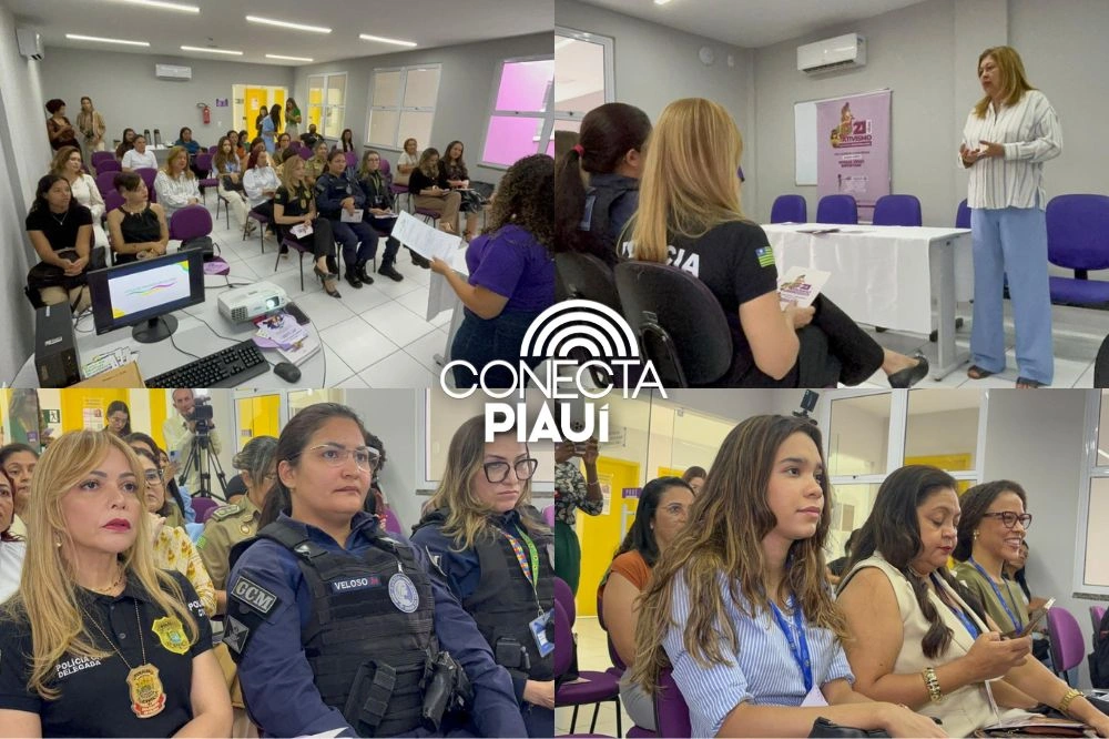 Piauí celebra 20 anos do Ligue 180 e reforça rede de proteção às mulheres