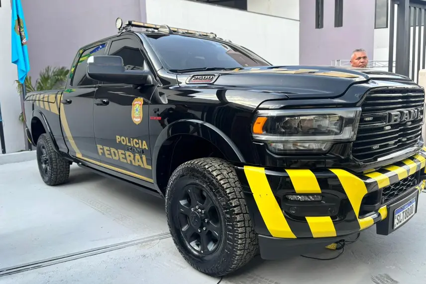 Polícia Federal, Picos