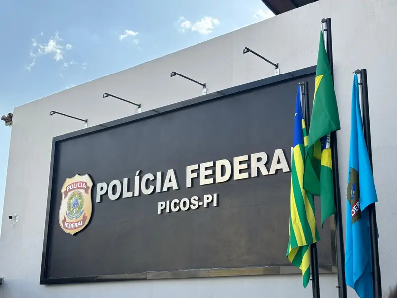 Polícia Federal, Picos