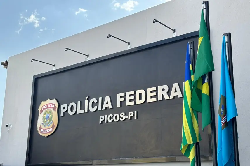 Polícia Federal, Picos
