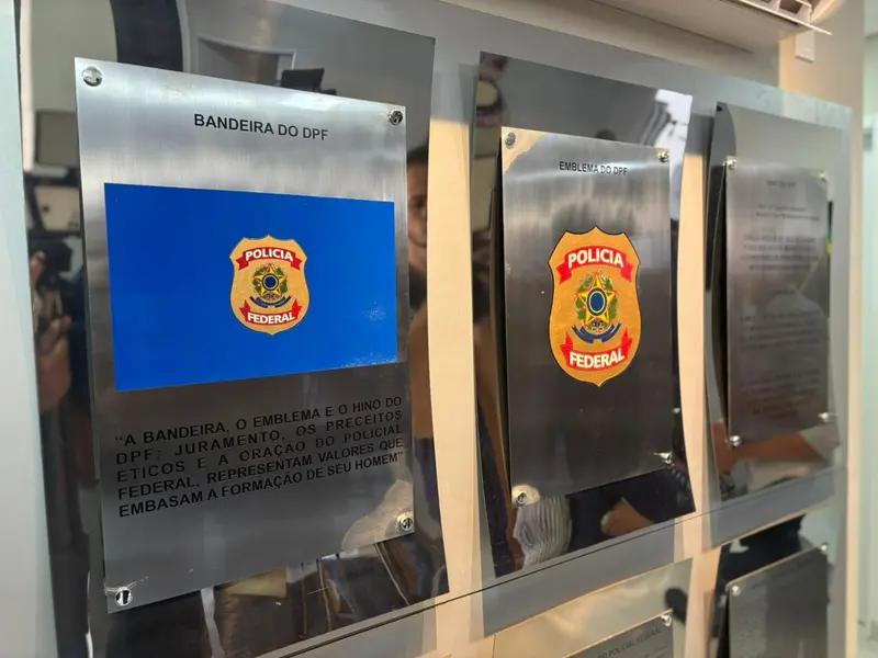 Polícia Federal, Picos