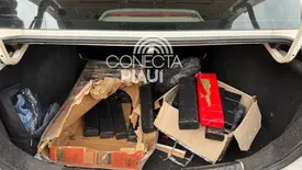 Polícia localiza 60 kg de drogas que iria abastecer pontos do PCC em Teresina (Foto: Reprodução)