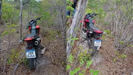 Polícia localiza moto roubada escondida em área rural de Luís Correia (Foto: Reprodução)