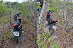 Polícia localiza moto roubada escondida em área rural de Luís Correia (Foto: Reprodução)