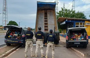 PRF apreende 350 kg de skunk em fiscalização na BR-316 em Picos (Foto: Reprodução)