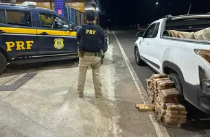 PRF apreende 62 tabletes de skunk escondidos em carroceria de veículo em Piripiri (Foto: Divulgação/PRF)