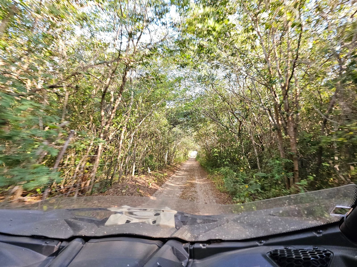 Rede Estadual de Trilhas visa fortalecer o turismo sustentável no Piauí