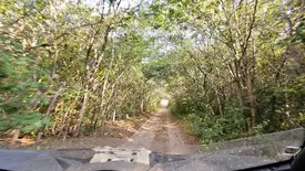 Rede Estadual de Trilhas visa fortalecer o turismo sustentável no Piauí (Foto: Reprodução)