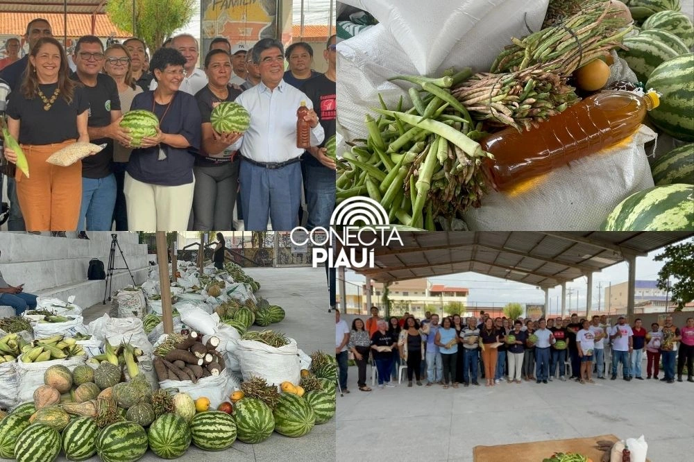 SAF entrega 20 toneladas de alimentos a entidades sociais em Teresina