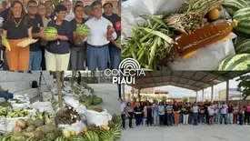 SAF entrega 20 toneladas de alimentos a entidades sociais em Teresina (Foto: Conecta Piauí)