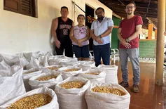 SAF inicia entrega de sementes e fortalece agricultura familiar no Piauí