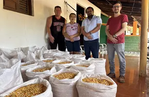 SAF inicia entrega de sementes e fortalece agricultura familiar no Piauí (Foto: Reprodução)