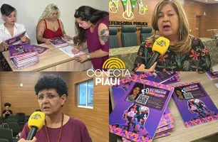 Seminário aborda violência política e incentiva participação feminina em 2026 (Foto: Conecta Piauí)
