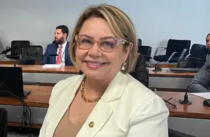 Senadora Jussara Lima (PSD) (Foto: Reprodução)
