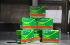 Sesapi orienta municípios sobre aplicação da nova vacina contra a dengue