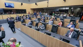 Sessão plenária na Assembleia Legislativa do Piauí. (Foto: Reprodução)