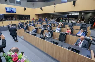 Sessão plenária na Assembleia Legislativa do Piauí. (Foto: Reprodução)