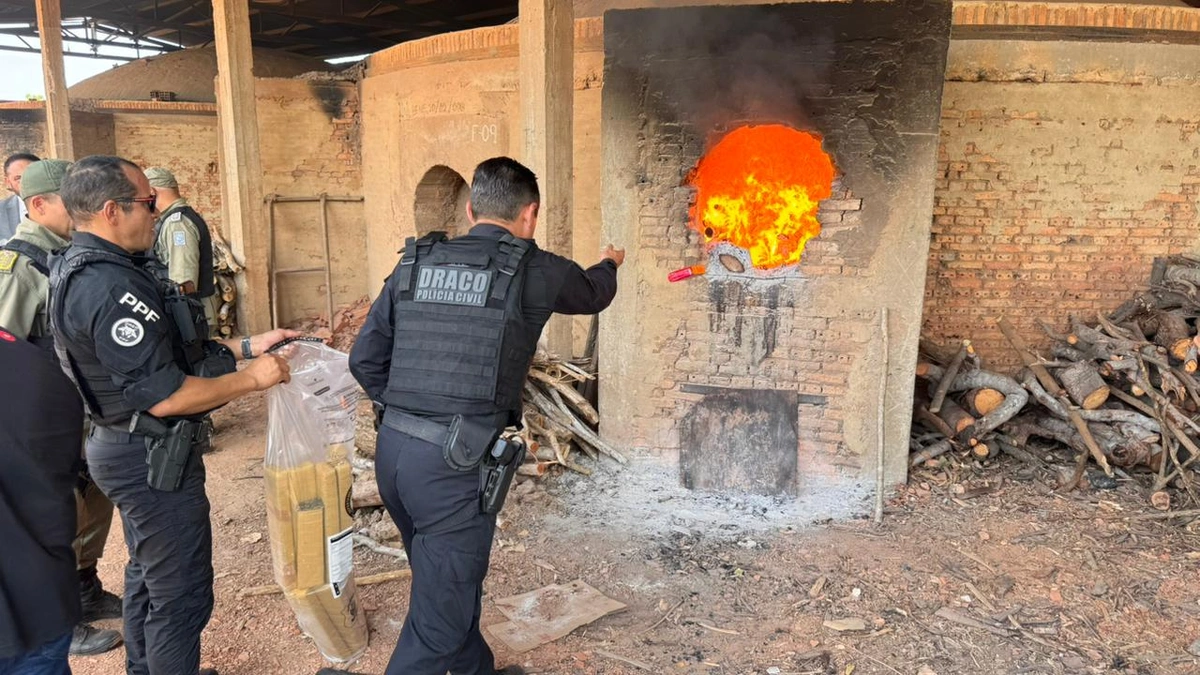 SSP incinera cerca de 1 tonelada de drogas apreendidas em ação no litoral do Piauí