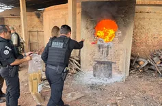 Segurança incinera cerca de uma tonelada de drogas apreendidas no litoral do Piauí