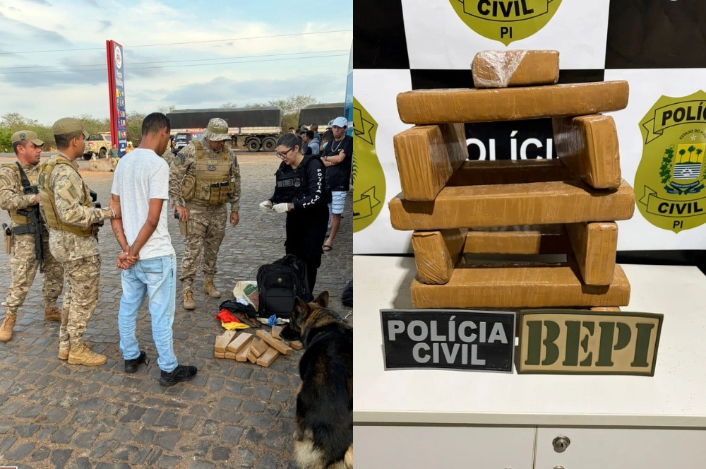 Suspeito de tráfico é preso com 12 tabletes de maconha na BR-316, em Picos