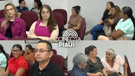 Timon debate proteção às mulheres em audiência pública da Câmara Municipal (Foto: Conecta Piauí)