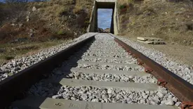 Transnordestina inicia operação teste entre Piauí e Ceará nesta quinta-feira (Foto: Reprodução)