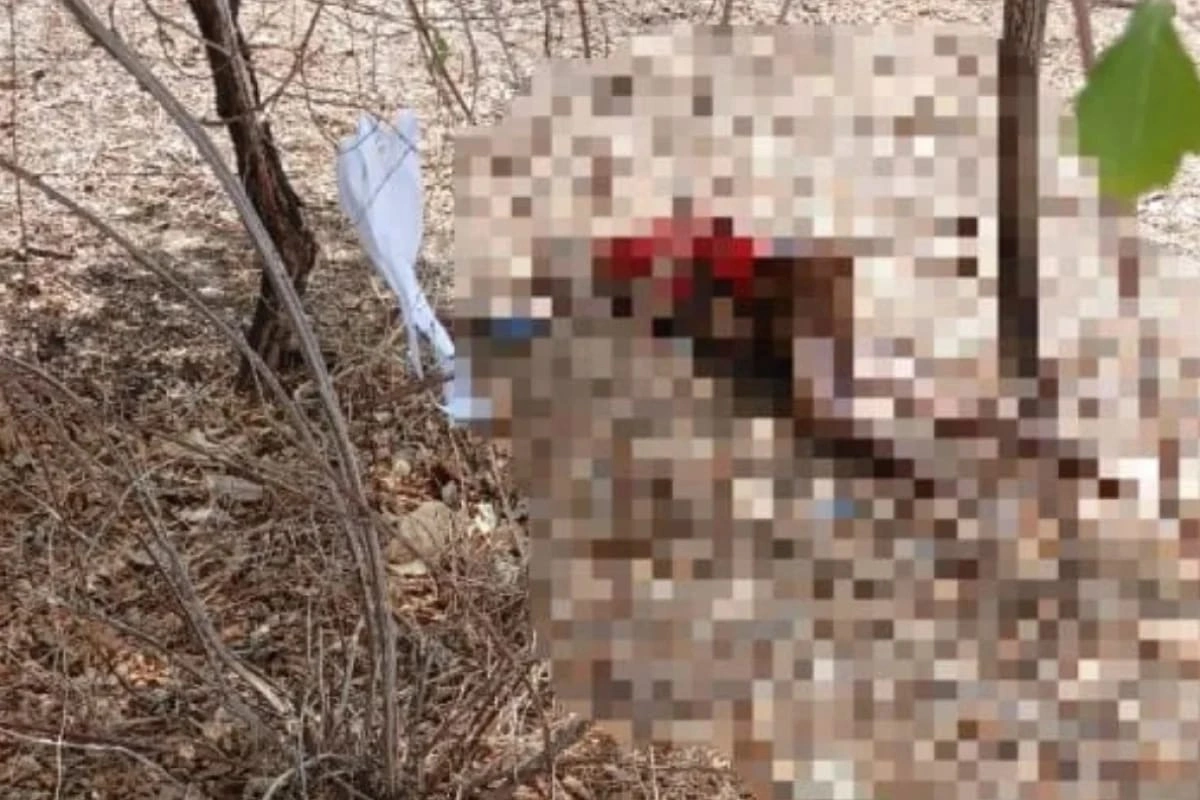 Trio é preso por latrocínio de idoso encontrado morto em Francisco Santos