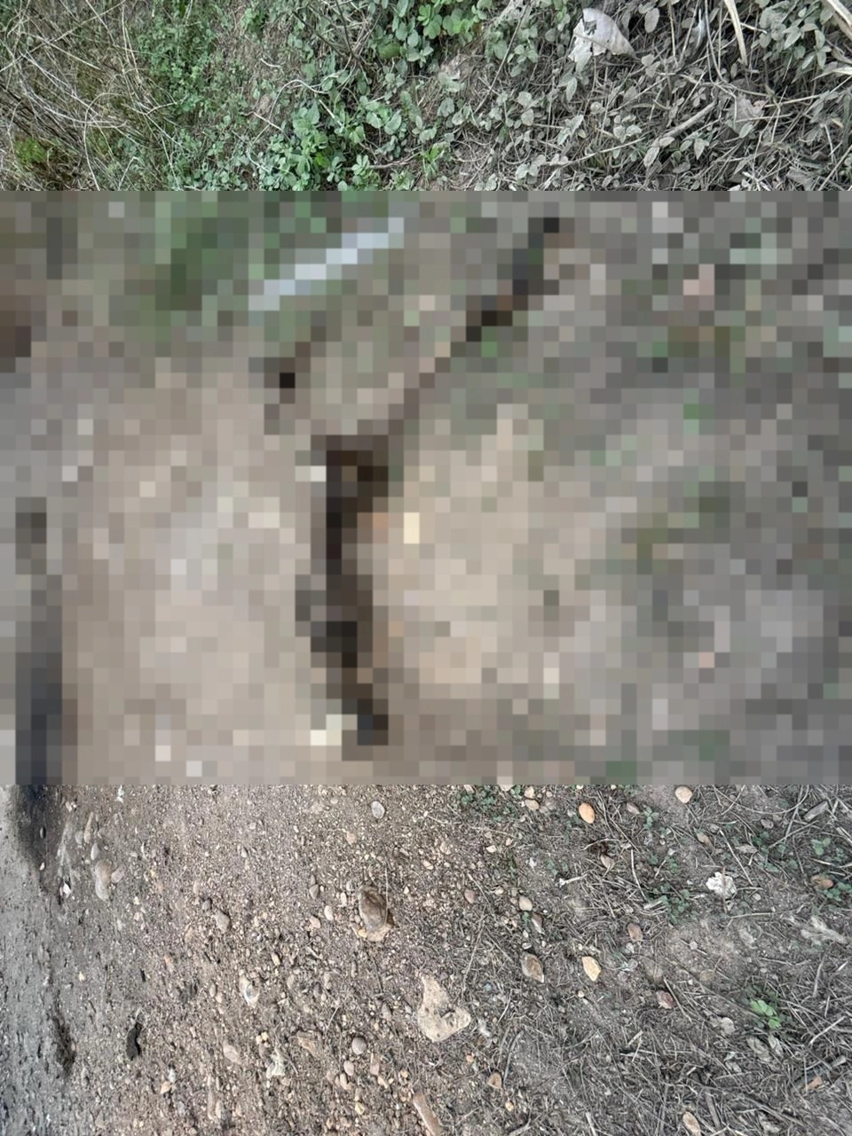 Veja imagens do corpo de jovem encontrado carbonizado em Teresina