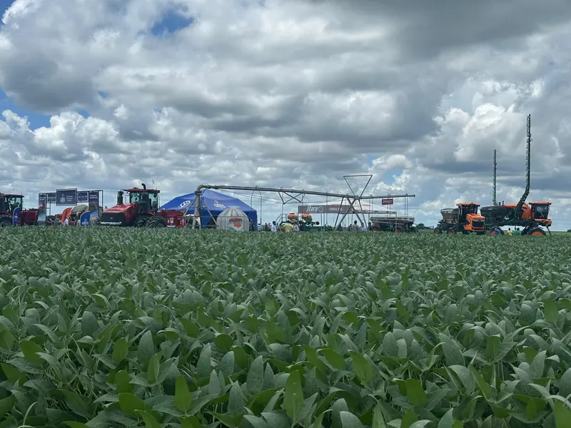 7º Dia de Campo Insolo da Fazenda Ipê reúne produtores e especialistas em  Baixa Grande do Ribeiro