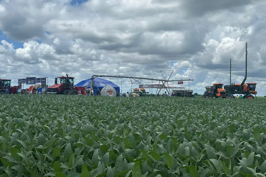 7º Dia de Campo Insolo da Fazenda Ipê reúne produtores e especialistas em Baixa Grande do Ribeiro 7º Dia de Campo Insolo da Fazenda Ipê reúne produtores e especialistas em Baixa Grande do Ribeiro