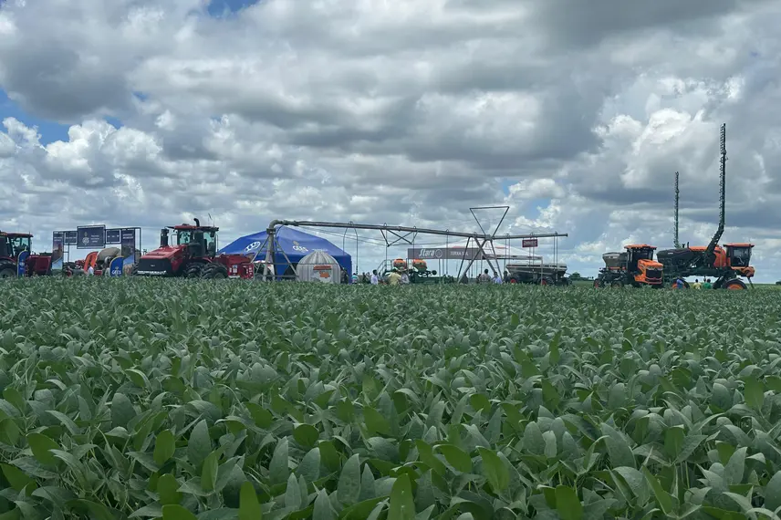 7º Dia de Campo Insolo da Fazenda Ipê reúne produtores e especialistas em  Baixa Grande do Ribeiro