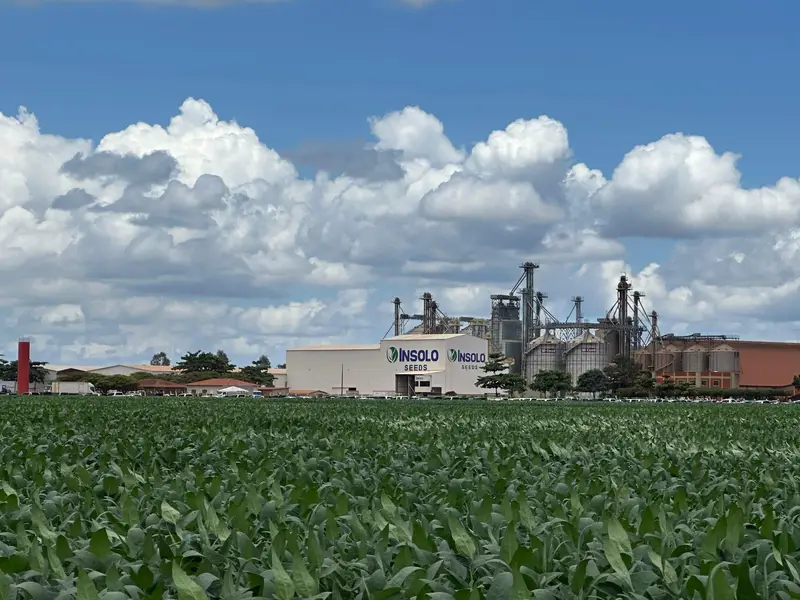7º Dia de Campo Insolo da Fazenda Ipê reúne produtores e especialistas em Baixa Grande do Ribeiro