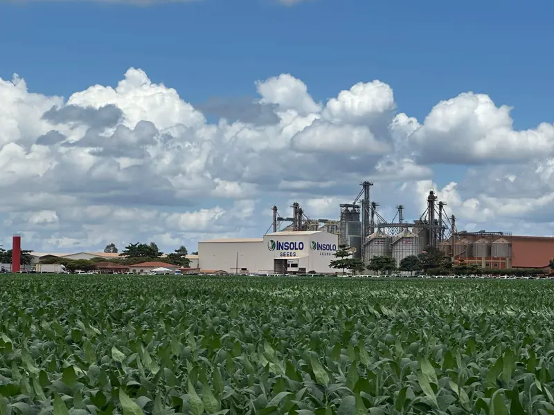 7º Dia de Campo Insolo da Fazenda Ipê reúne produtores e especialistas em  Baixa Grande do Ribeiro