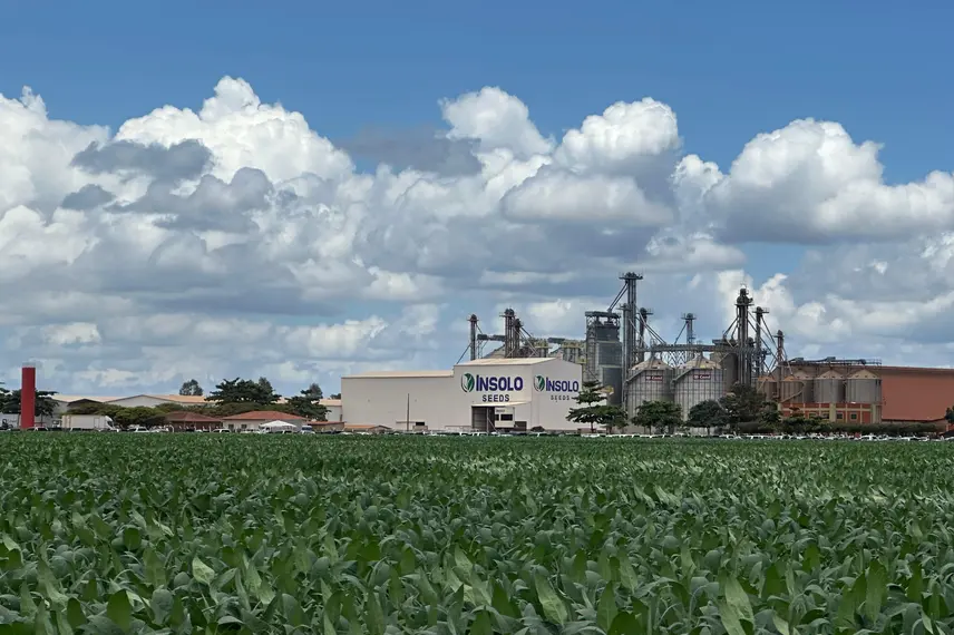 7º Dia de Campo Insolo da Fazenda Ipê reúne produtores e especialistas em  Baixa Grande do Ribeiro