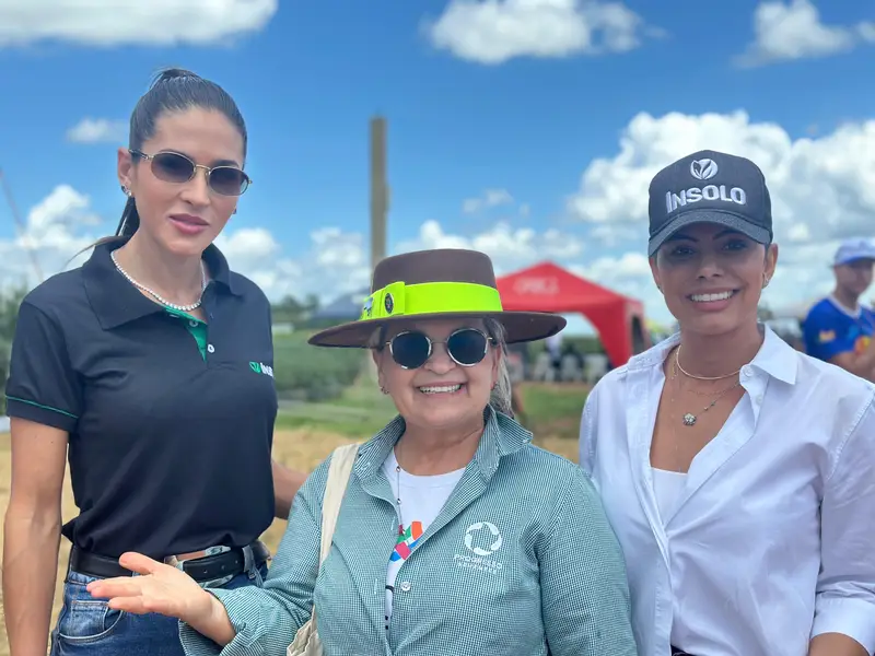 7º Dia de Campo Insolo da Fazenda Ipê reúne produtores e especialistas em Baixa Grande do Ribeiro