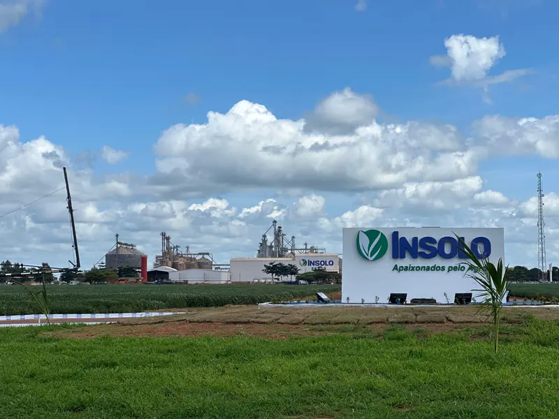 7º Dia de Campo Insolo da Fazenda Ipê reúne produtores e especialistas em  Baixa Grande do Ribeiro