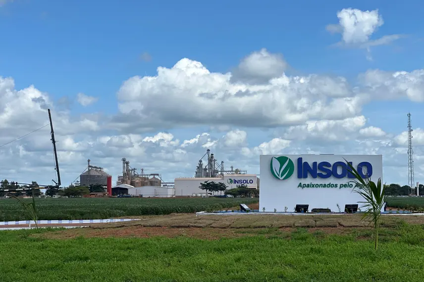 7º Dia de Campo Insolo da Fazenda Ipê reúne produtores e especialistas em  Baixa Grande do Ribeiro