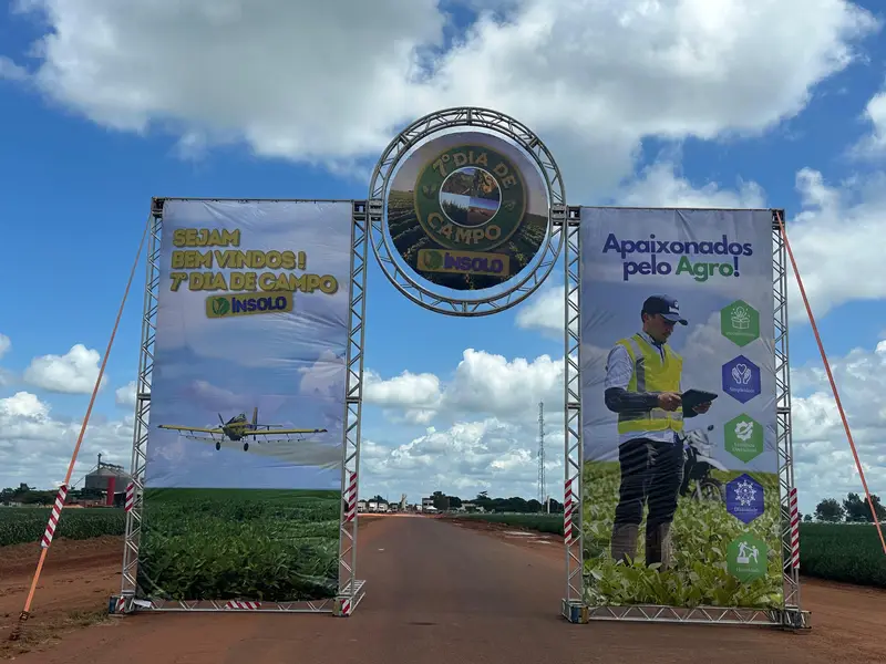 7º Dia de Campo Insolo da Fazenda Ipê reúne produtores e especialistas em Baixa Grande do Ribeiro