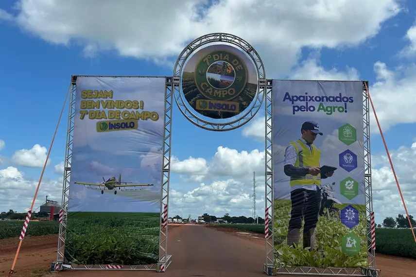 7º Dia de Campo Insolo da Fazenda Ipê reúne produtores e especialistas em  Baixa Grande do Ribeiro
