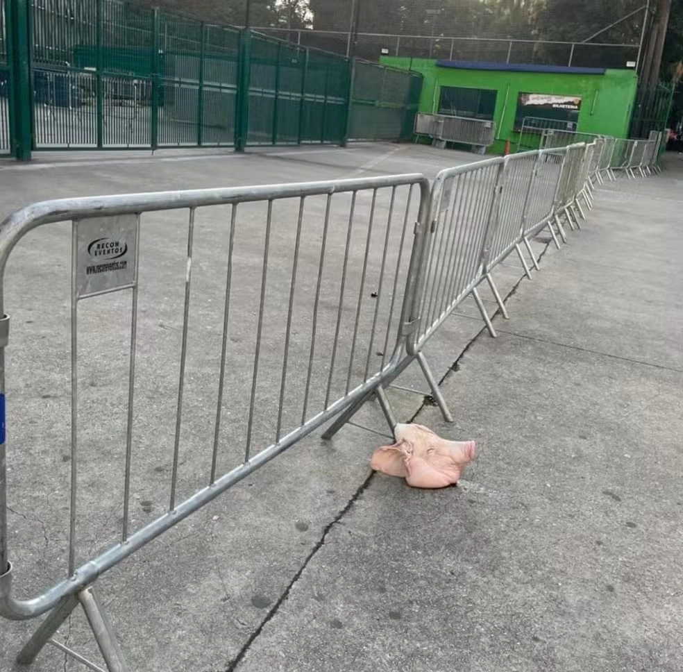 Cabeça de porco no Allianz Parque