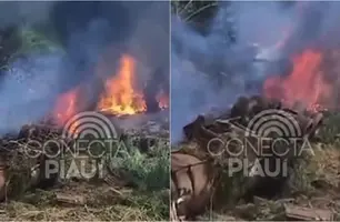 Caminhão-tanque capota e pega fogo na BR-316, em Picos (Foto: Reprodução)